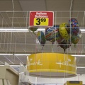 313-6215 Helium Balloons 3.99 and Up